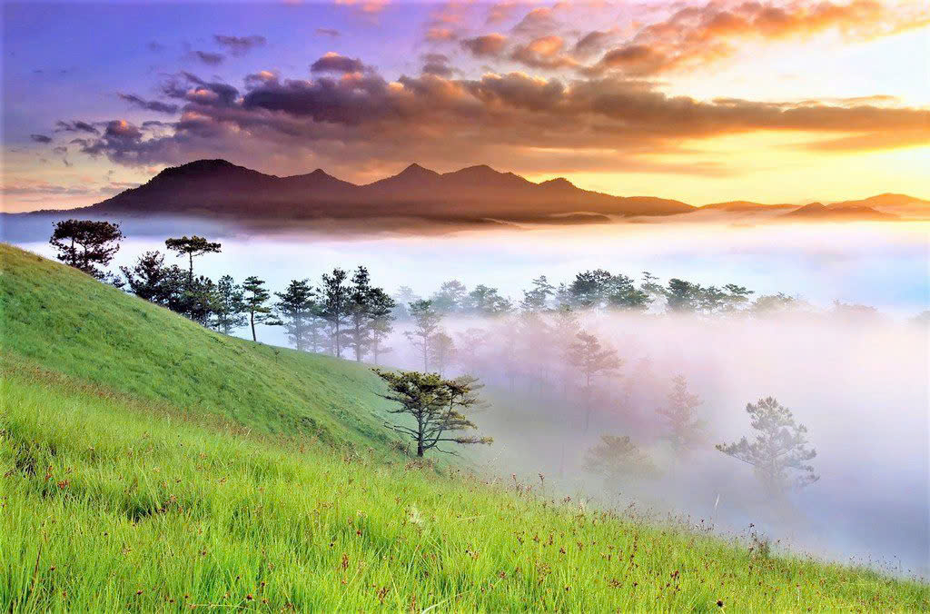 Tax Implications for Digital Nomads Working Remotely in Vietnam 2 3