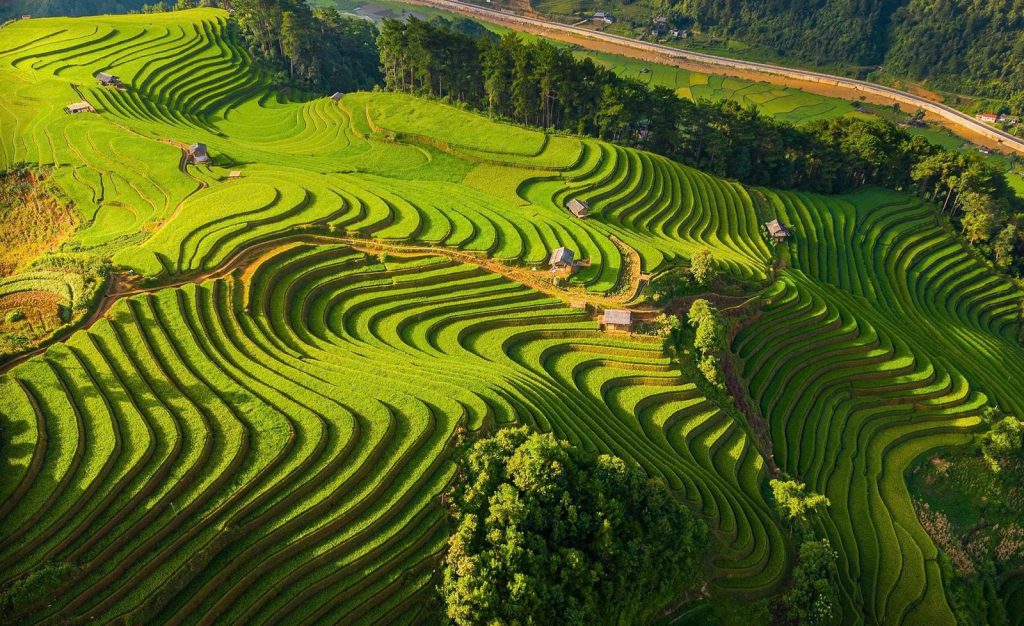 Top Hiking Trails in Northern Vietnam: Your Ultimate Guide 2 20