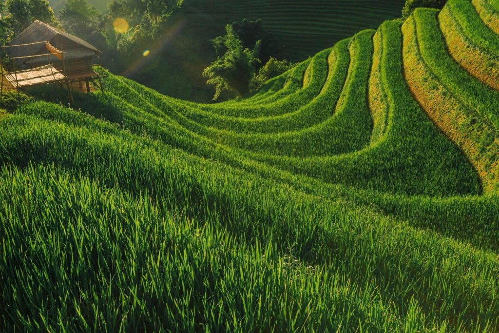 Top Hiking Trails in Northern Vietnam: Your Ultimate Guide 3 15
