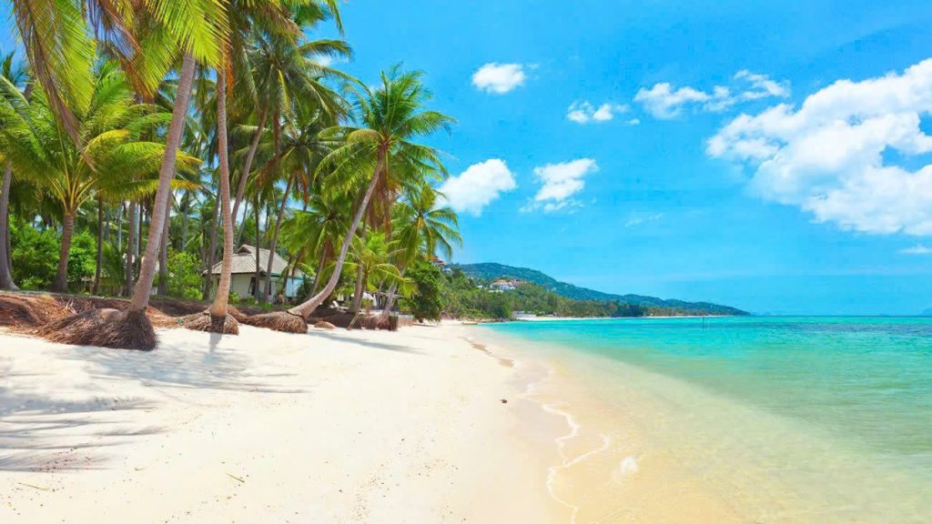 Top 10 Beaches in Thailand for Your Perfect Getaway 4 15