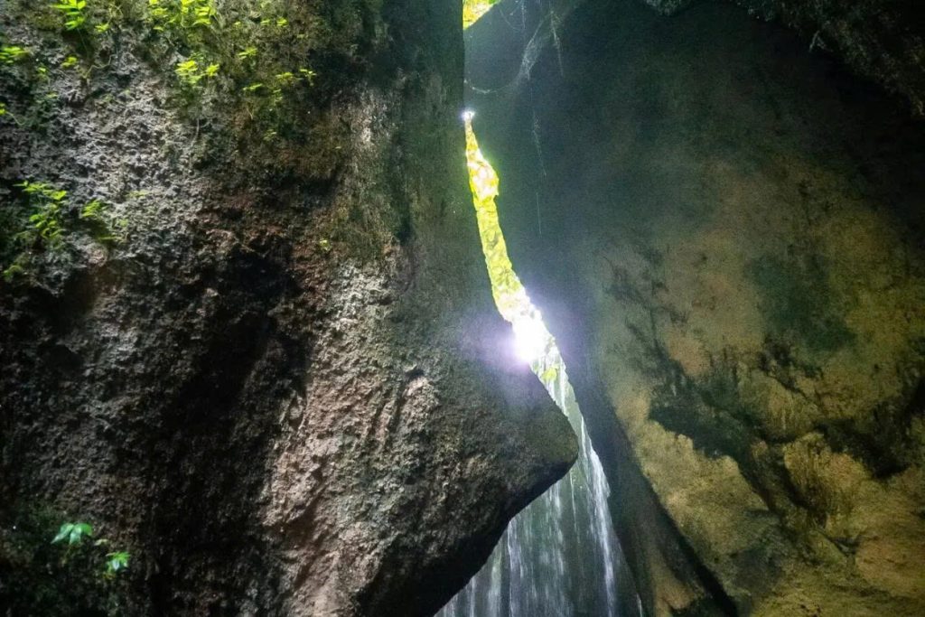 Top 15 Things to Do in Bali: Ultimate Bucket List 8 6