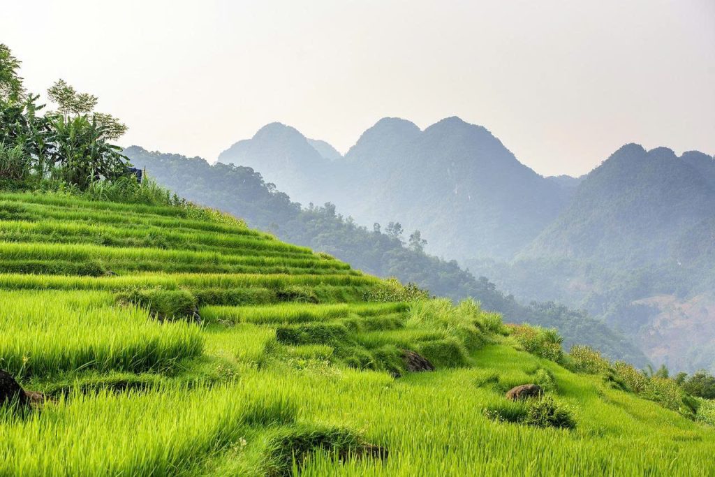 Top Hiking Trails in Northern Vietnam: Your Ultimate Guide Pu Luong Nature Reserve4