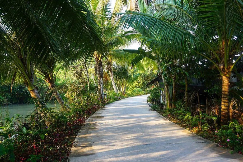 Mekong Delta Homestay Experience: Unveiling the Authentic homestay3