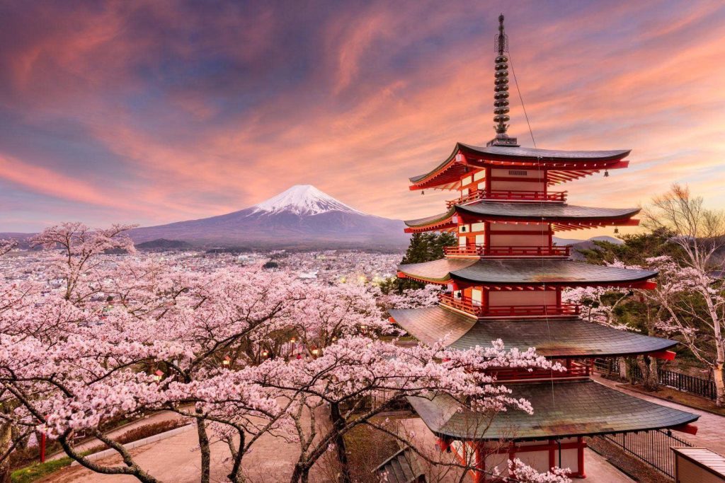 Best Places to Visit in Japan for an Unforgettable Trip pinterest 11