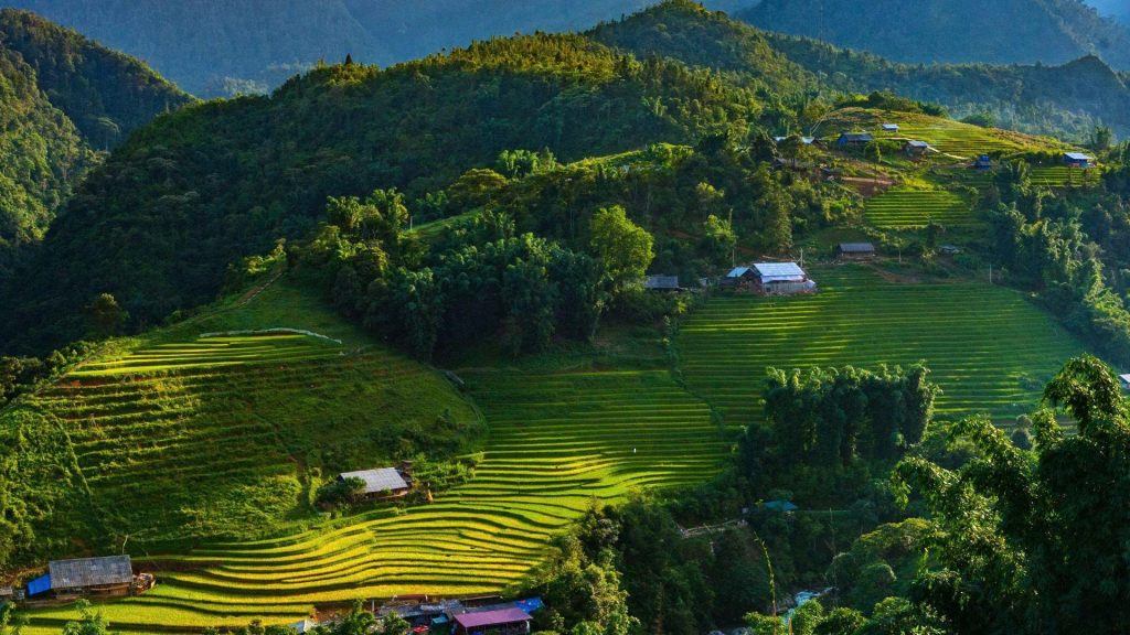 The Best Homestays in Sapa Vietnam cat ba villague