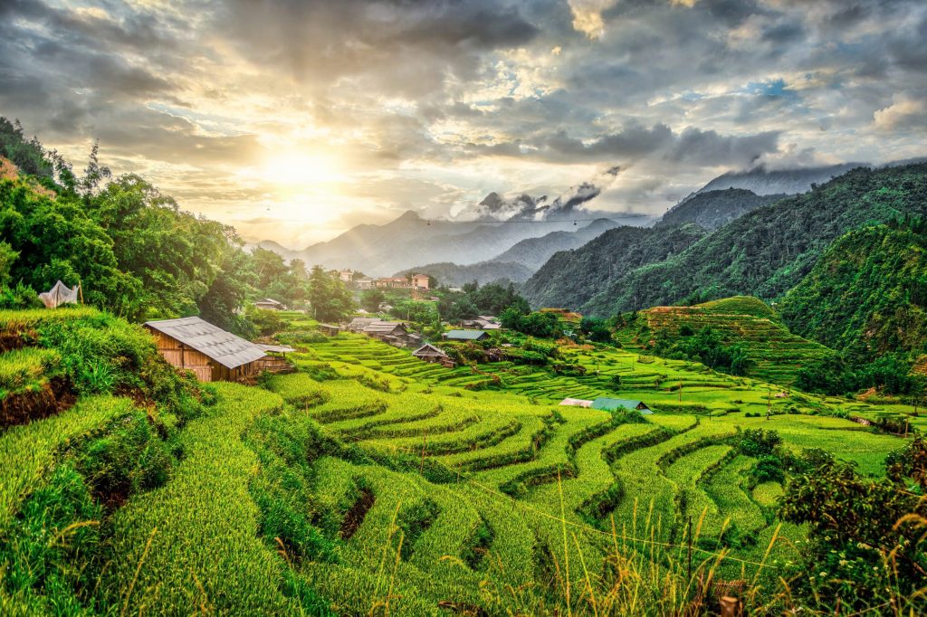 Ultimate Sapa Trekking Guide: Culture & Terraces 1 31