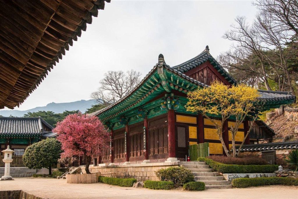 Guide to Korean Templestays: Finding Serenity in the Mountains 1.2