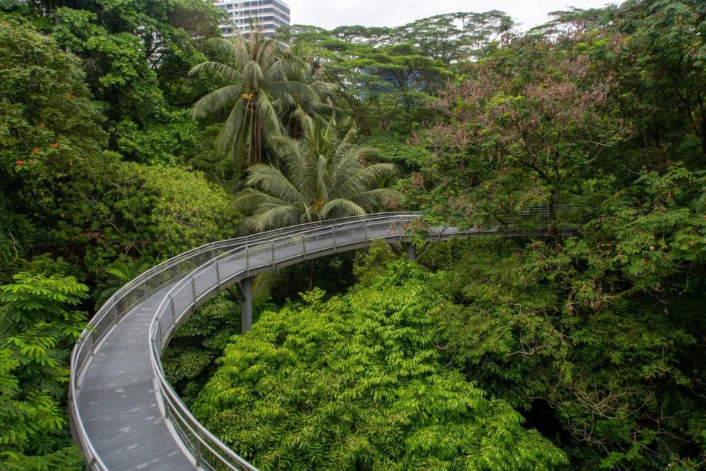 Top 15 Things to Do in Singapore: From Merlion to Marina Bay 11 4