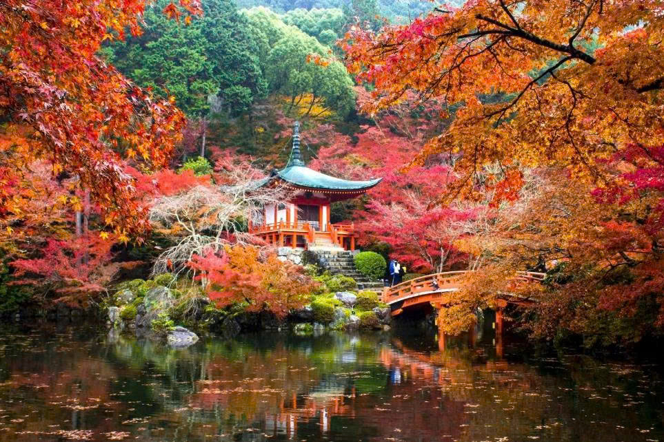 Japan Plans to Raise Visa Fees 2 27