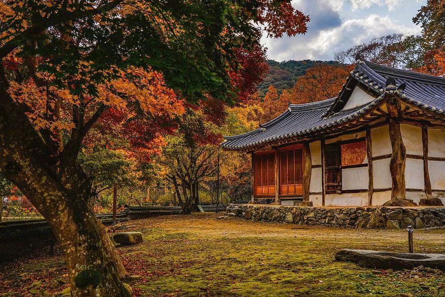 Guide to Korean Templestays: Finding Serenity in the Mountains 4 Magoksa
