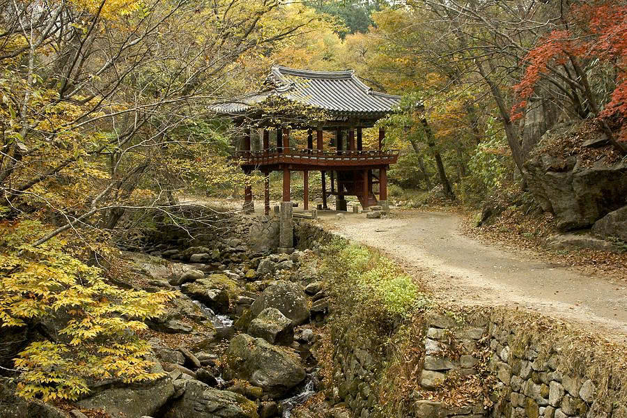 Guide to Korean Templestays: Finding Serenity in the Mountains 5.1