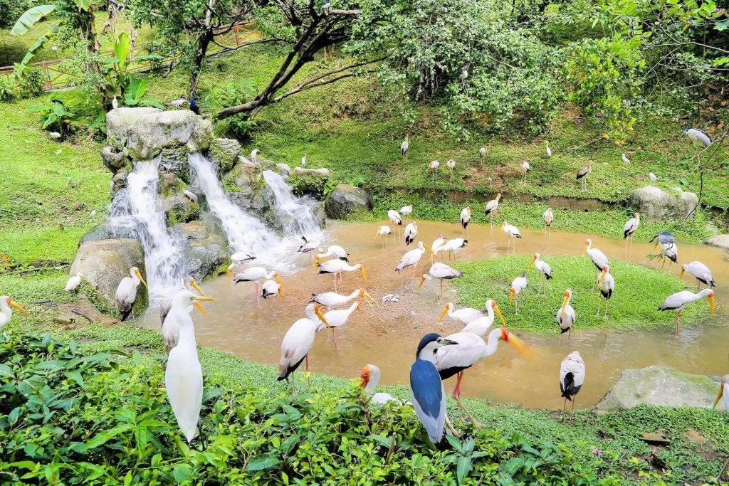 Top 15 Things to Do in Kuala Lumpur: Guide for a Perfect Trip 8 3