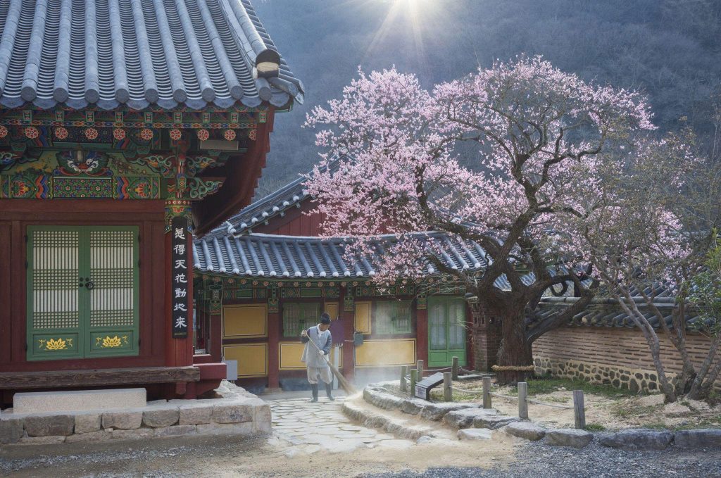 Guide to Korean Templestays: Finding Serenity in the Mountains 8.1 1
