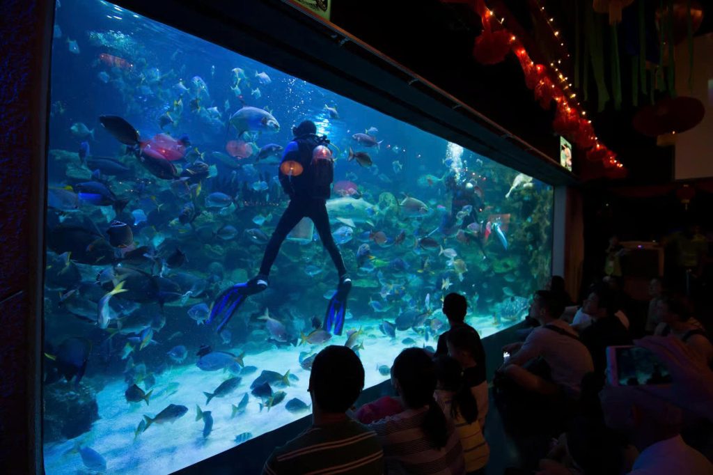 Top 15 Things to Do in Kuala Lumpur: Guide for a Perfect Trip 9 3