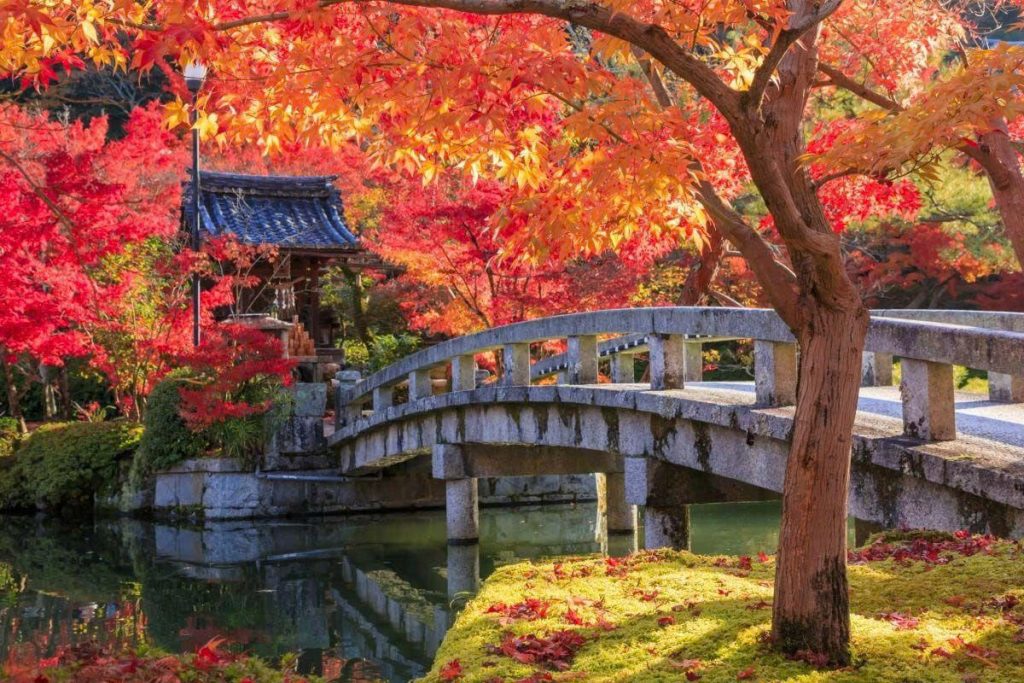 Ultimate 14-Day Japan Itinerary for First-Time Visitors Eikando Zenrin ji Temple pinterest