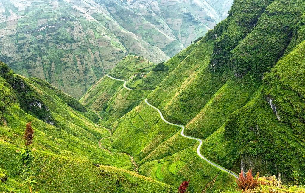 North vs South Vietnam: Which Should Explore First Ha Giang pass features breathtaking cliffs overlooking the deep Tu San Canyon.