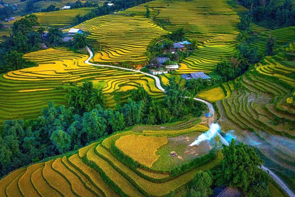 Ultimate Sapa Trekking Guide: Culture & Terraces Y linh ho village