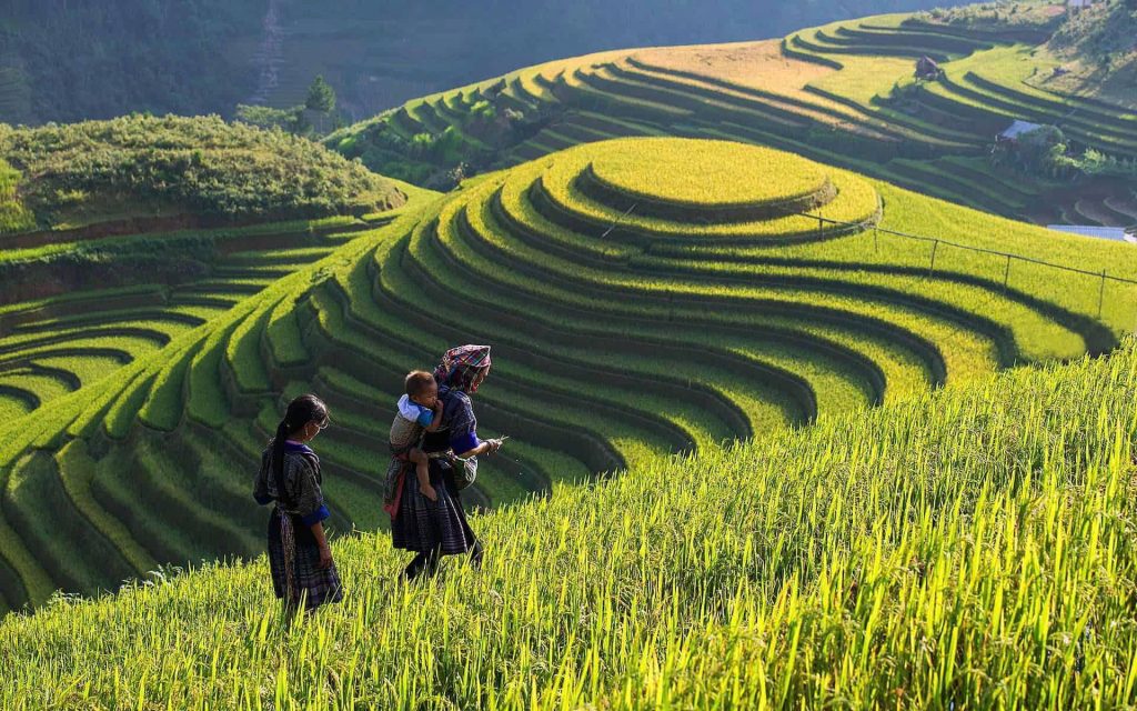 Ultimate Sapa Trekking Guide: Culture & Terraces lao chai