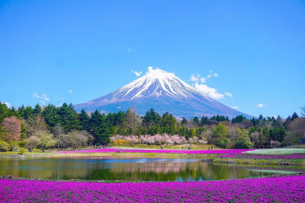 Ultimate 14-Day Japan Itinerary for First-Time Visitors mjji 1