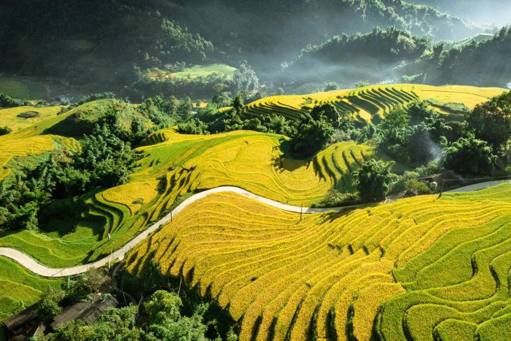 Ultimate Sapa Trekking Guide: Culture & Terraces ta van