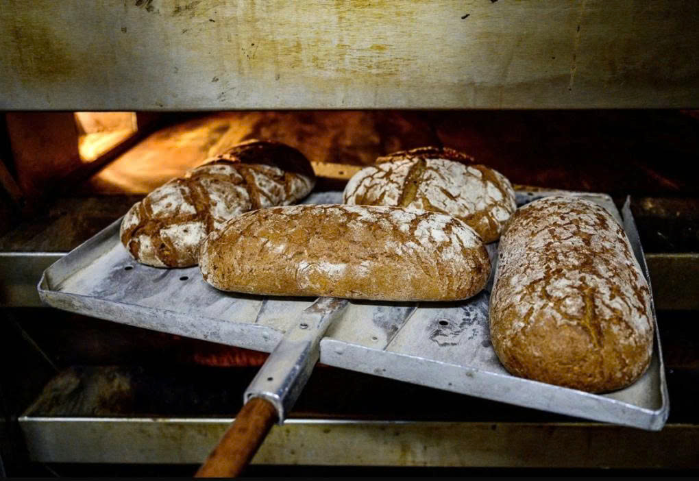 Whole grain loaves fresh out of the oven in Germany. Photo: AFP.