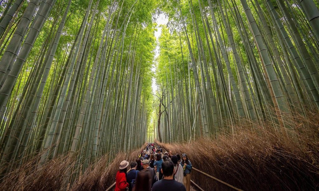 Adashino Nenbutsu-ji