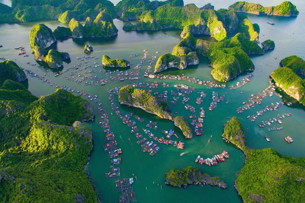 Halong Bay vs Lan Ha Bay: Your Best Cruise Pick lan ha bay- vietnamtourism