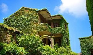 The Chinese Ghost Village Swallowed by Greenery 11 2