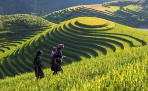 The Best Homestays in Sapa Vietnam lao chai ta van 3