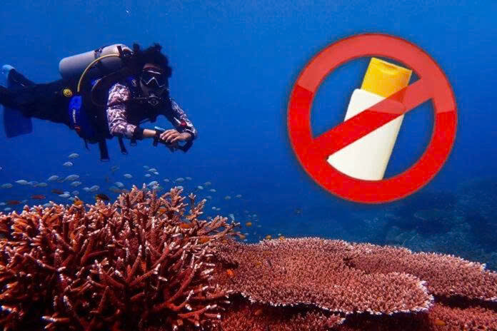 Thailand Fines Visitors 100,000 baht for Using Reef-Harming Sunscreen 1 22