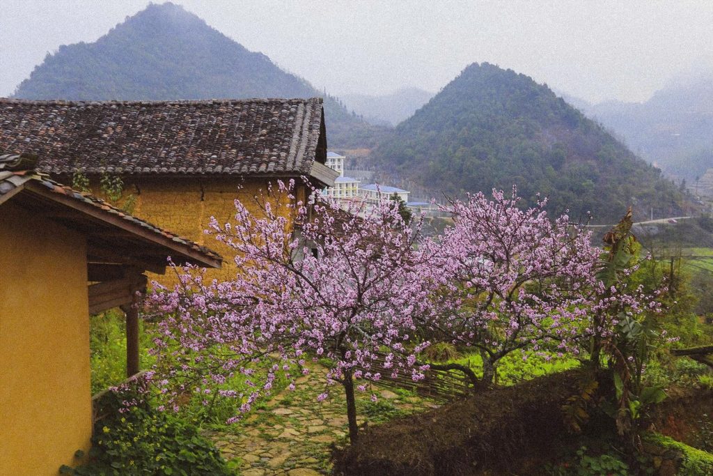 Vietnam's Lo Lo Chai & Quynh Son Are Best Tourism Villages 2025 7 8