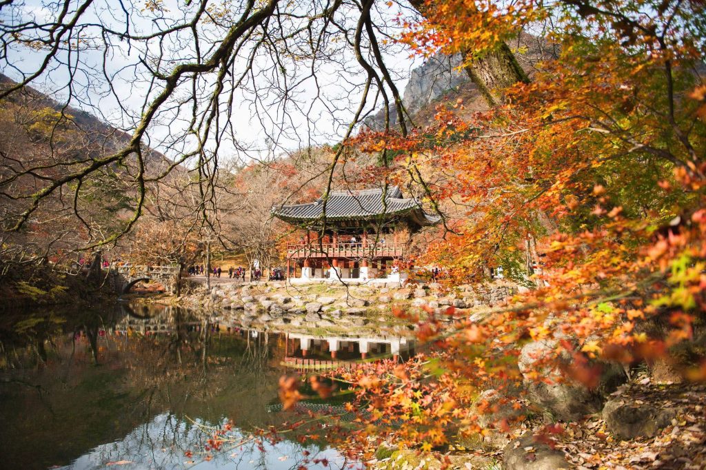Guide to Korean Templestays: Finding Serenity in the Mountains 8.Baekyangsa Temple Jangseong