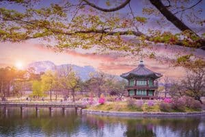Spring Travel in South Korea